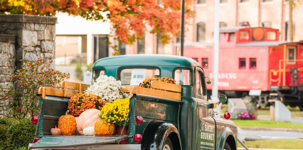 Savory Gourmet vintage 1950's truck with pumpkins and mums in truck bed.